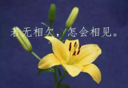 有深度有涵养的励志句子,精选有深度有涵养的励志名言