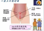 女性私密图构造10种,女性私密图解的视觉探索n2. 私密奥秘大揭秘：女性私密图解全解析n3. 女性私密图解：揭示身体之美与秘密n4. 私密图解揭秘：女性身体构造与生理奥秘n5. 女性私密图解：探索身体之美与生理秘密n6. 私密之美：女性私密图解的艺术呈现n7. 女性私密图解：解读身体构造与生理现象n8. 私密之美：女性私密图解的科学视角n9. 女性私密图解：探索身体之美与生理秘密n10. 私密之美：女性私密图解的艺术与科学之旅