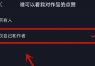 抖音喜欢怎么调私密,揭秘个性化内容推荐背后的秘密