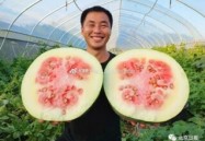 她已认不得人却始终忘不了让你吃瓜，91吃瓜